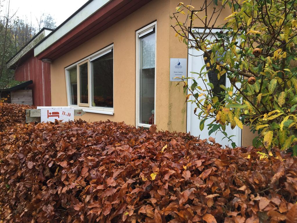 B&B 'T Buitenkansje Almere Zewnętrze zdjęcie