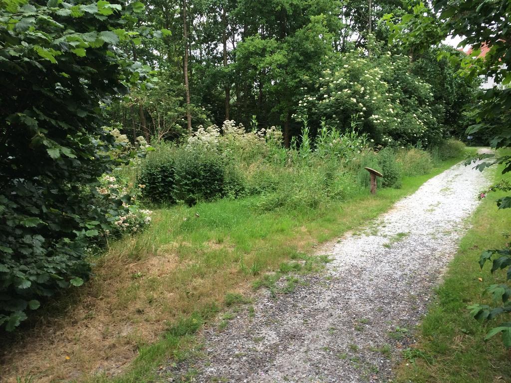 B&B 'T Buitenkansje Almere Zewnętrze zdjęcie